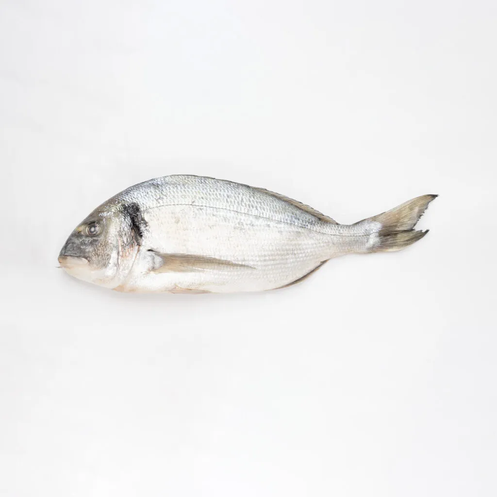 Dorade Royale
